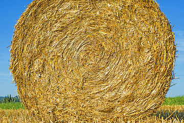 Image showing straw bale