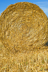 Image showing straw bale