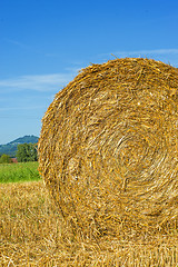 Image showing straw bale