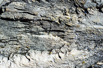 Image showing rock surface