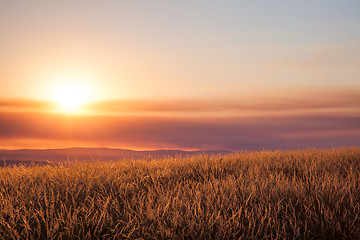 Image showing Beautiful sunset over mountain field.