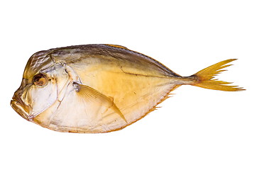 Image showing Smoked atlantic moonfish