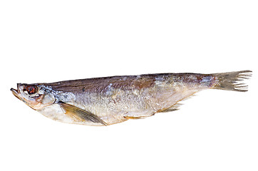 Image showing Salted and dried sabrefish