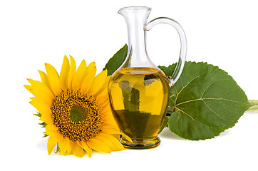 Image showing Sunflower and oil in glass decanter