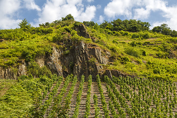 Image showing vineyards Beilstein