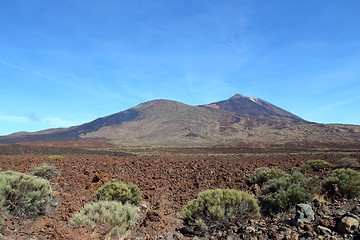 Image showing Tenerife