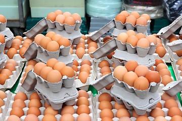 Image showing Chicken eggs