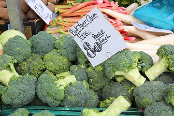 Image showing Broccoli