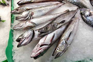 Image showing Fish market in Spain