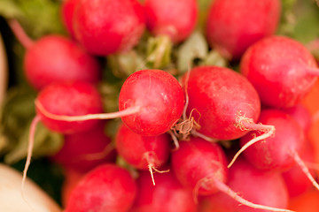 Image showing fresh red raddisch closeup macro outdoor market