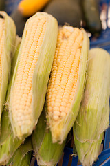 Image showing fresh tasty corn macro closeup on market outdoor