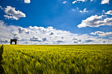 Image showing Wheat Fields with ruin