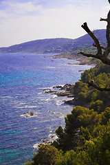 Image showing Mediterranean Coast