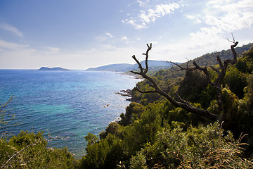 Image showing Mediterranean Coast