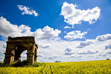Image showing Wheat Fields with ruin