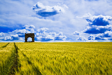 Image showing Wheat Fields with ruin