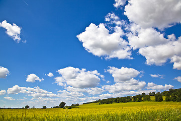 Image showing Fields of Wheat