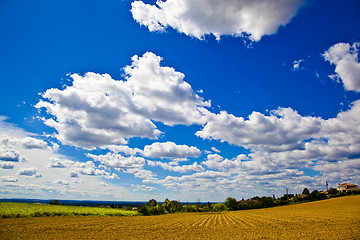 Image showing Fields of Wheat