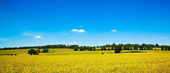 Image showing Fields of Wheat