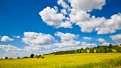 Image showing Fields of Wheat