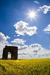 Image showing Wheat Fields with ruin