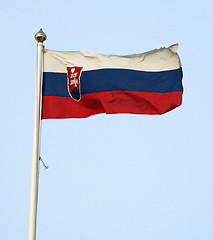 Image showing Slovak flag