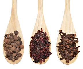 Image showing spices