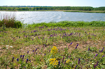 Image showing lagoon of small lake