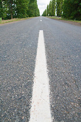 Image showing white line on asphalt