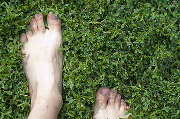 Image showing barefooted on the green grass. after rain