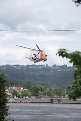 Image showing Sea King