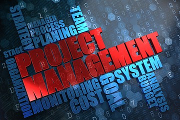 Image showing Project Management. Wordcloud Concept.