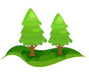 Image showing Spruce trees