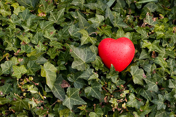 Image showing red heart