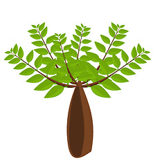 Image showing Baobab tree illustration