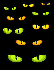 Image showing Wild cat eyes