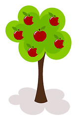 Image showing Apple tree