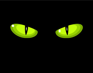 Image showing Green wild cat eyes