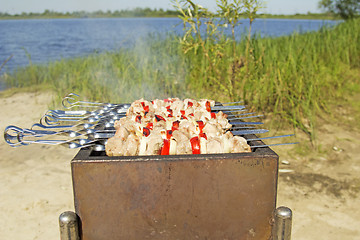 Image showing Pork shashlik