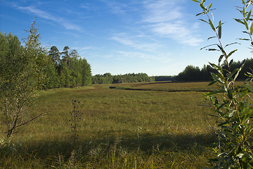 Image showing woodland scenery.