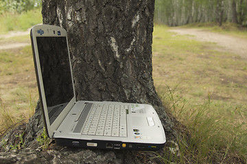 Image showing A girl and a computer