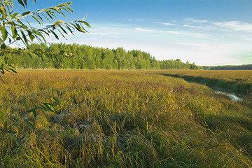 Image showing Morning on the River.