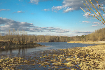 Image showing Forest River