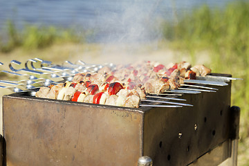 Image showing Pork shashlik