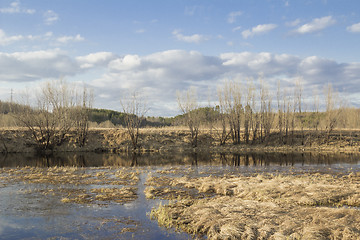 Image showing Forest River