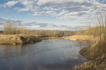 Image showing Forest River