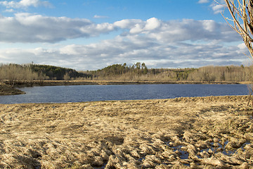 Image showing Forest River