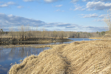 Image showing Forest River