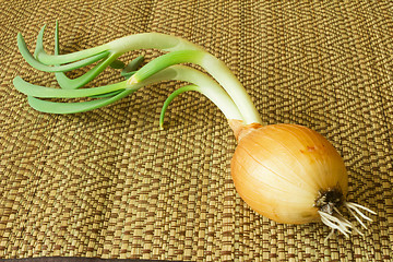 Image showing Green onions on a straw napkin Green onions