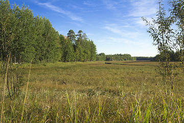 Image showing woodland scenery.